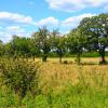 landschaft_190