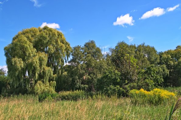 landschaft_132