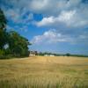 landschaft_195