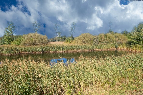 landschaft_136