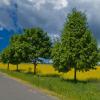 landschaft_149