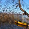 landschaft_147