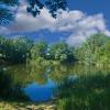 landschaft_196