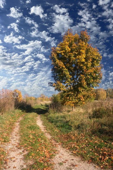 landschaft_140