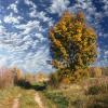 landschaft_140