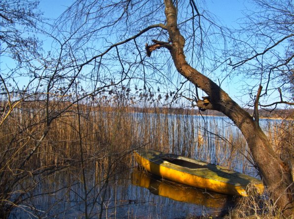 landschaft_147