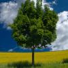landschaft_148