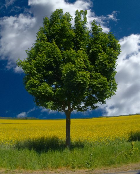 landschaft_148
