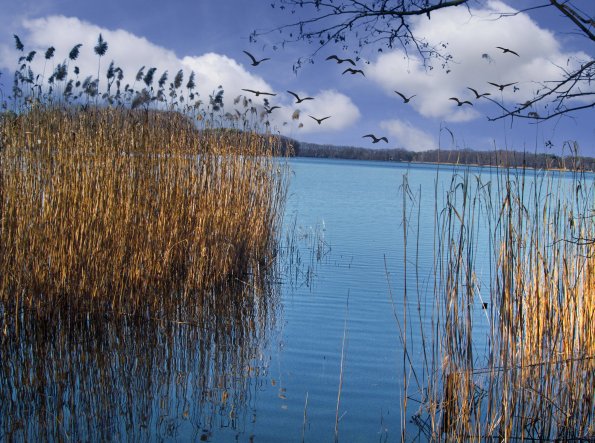 landschaft_141