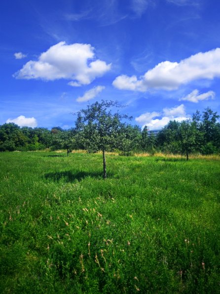 landschaft_130