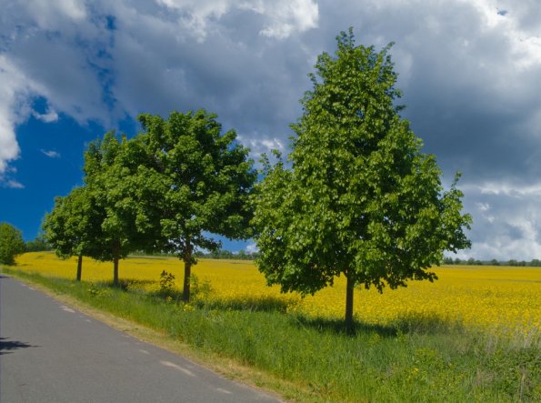 landschaft_149