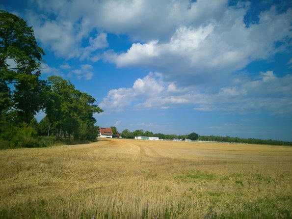 landschaft_195
