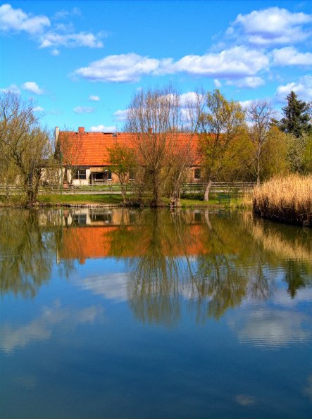 landschaft_145
