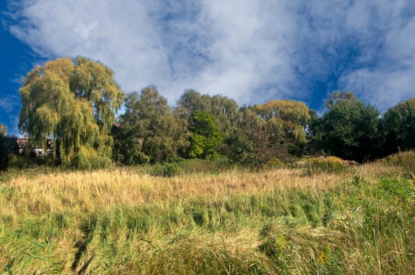 landschaft_133