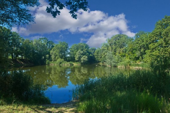 landschaft_196