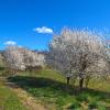 landschaft_143