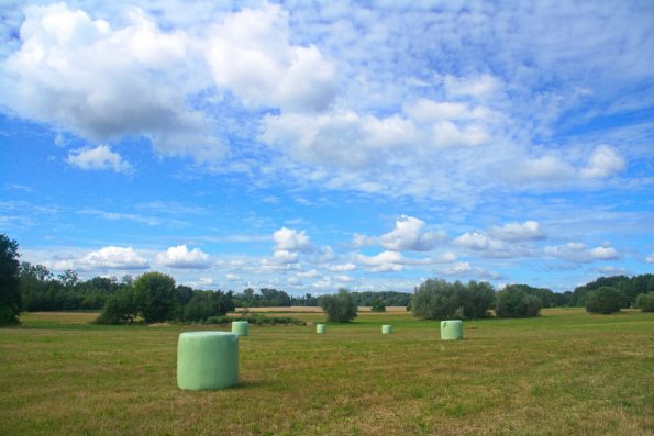landschaft_192