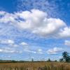 landschaft_189
