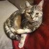 tiere_012